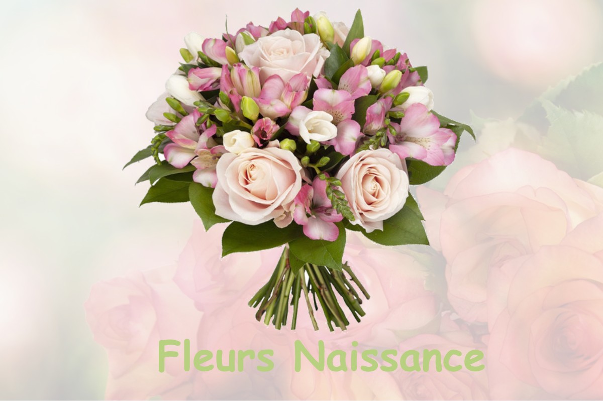 fleurs naissance SERRESLOUS-ET-ARRIBANS