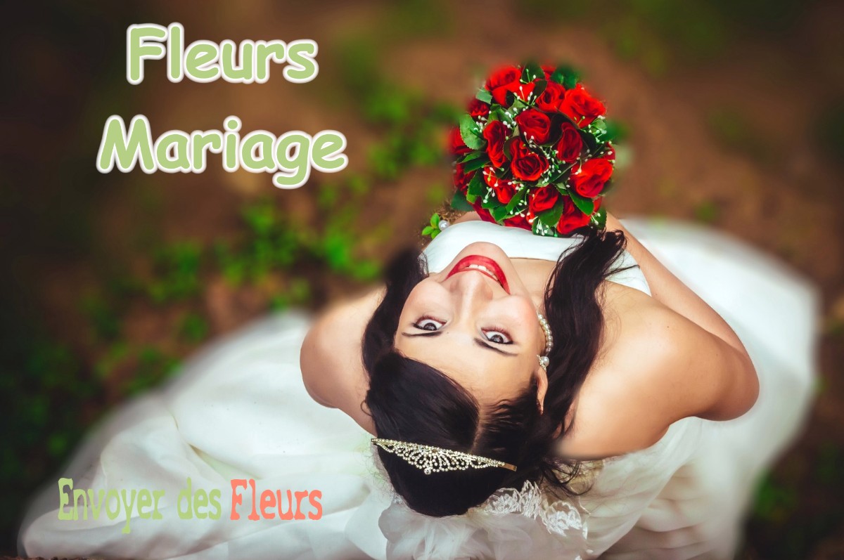 lIVRAISON FLEURS MARIAGE à SERRESLOUS-ET-ARRIBANS