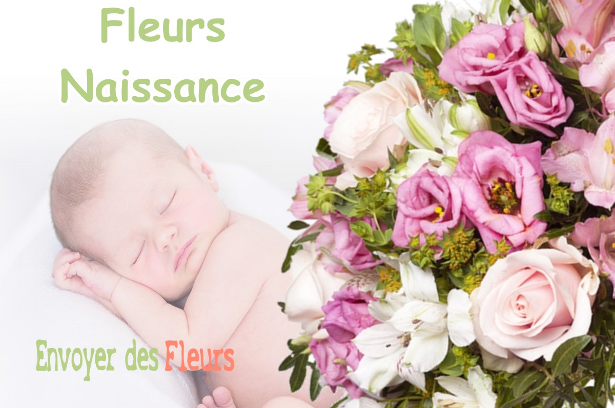 lIVRAISON FLEURS NAISSANCE à SERRESLOUS-ET-ARRIBANS